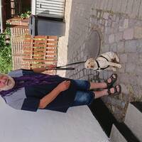 Hund Hund