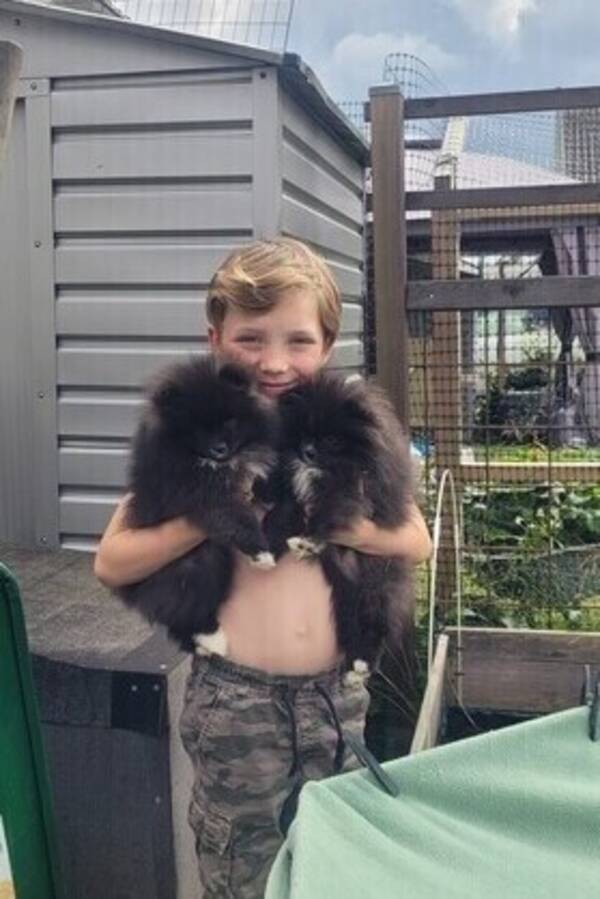 Hund - Nella och Fidelie 