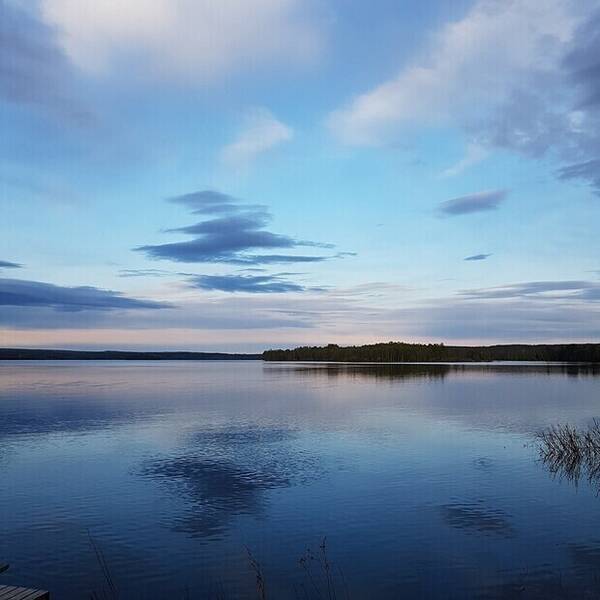 Sommarstuga - Sommar