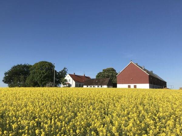 Hus