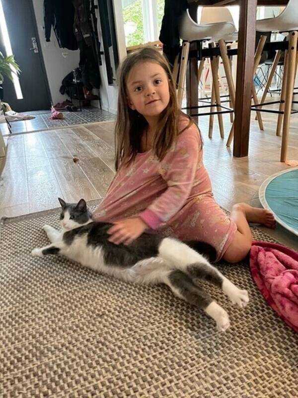 Katt - Katten Decibel