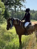 Janine van de nieuwendijk 