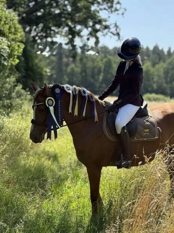 Övrigt - Janine van de nieuwendijk 