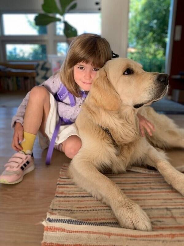 Hund - Golden Retriever, Baloo