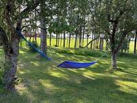 Gammal skola Enköping trädgård