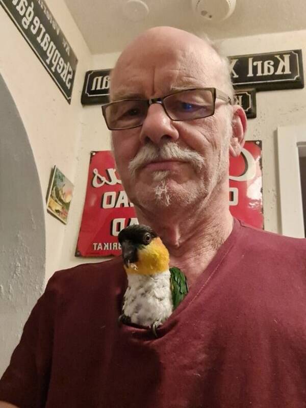 Övrigt - Mannfred, en caique som är en hona.