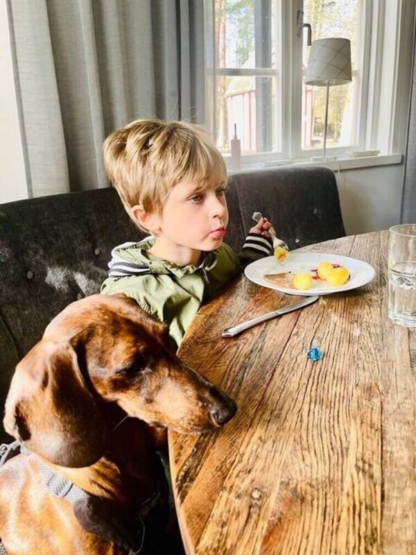 Hund - Oscar och hans tax är oskiljaktiga 