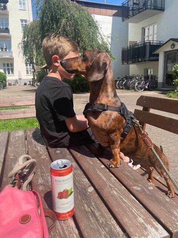 Hund - Oscar och hans tax är oskiljaktiga 