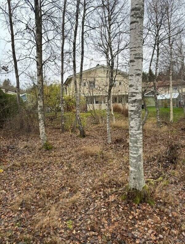 Hus - Parhus med carport, förråd & mysig liten