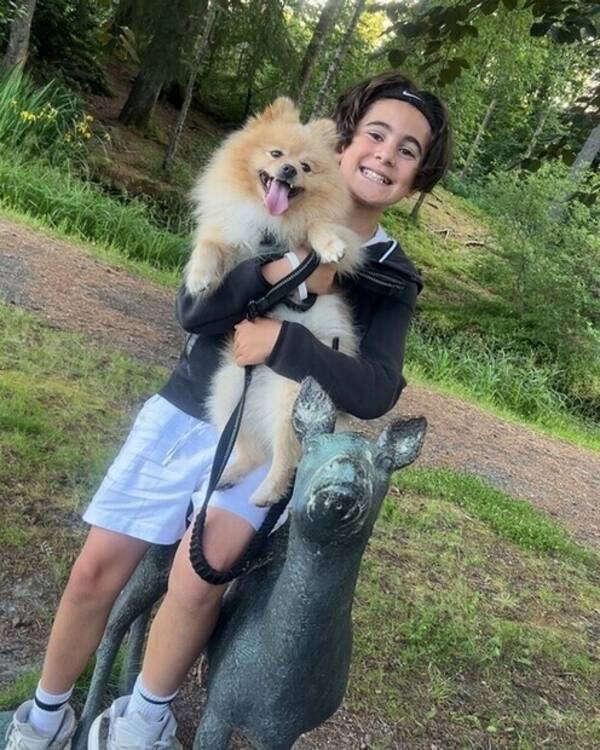 Hund - kleinspitz