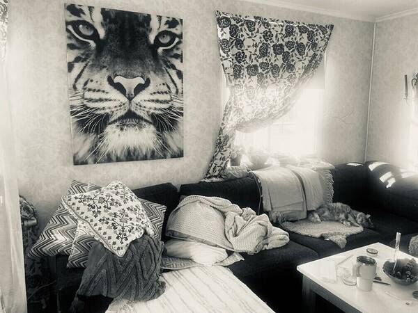 Lägenhet - Lägenhet 95 kvadrat i Burträsk