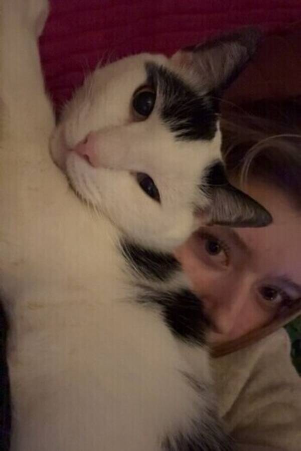 Katt - Bondkatt Yatzy