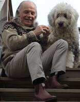 Older obedient  Old English sheepdog