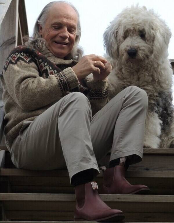 Hund - Older obedient  Old English sheepdog