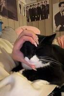 Tuxedo
