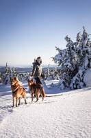 Två finnspetsar + en blandras