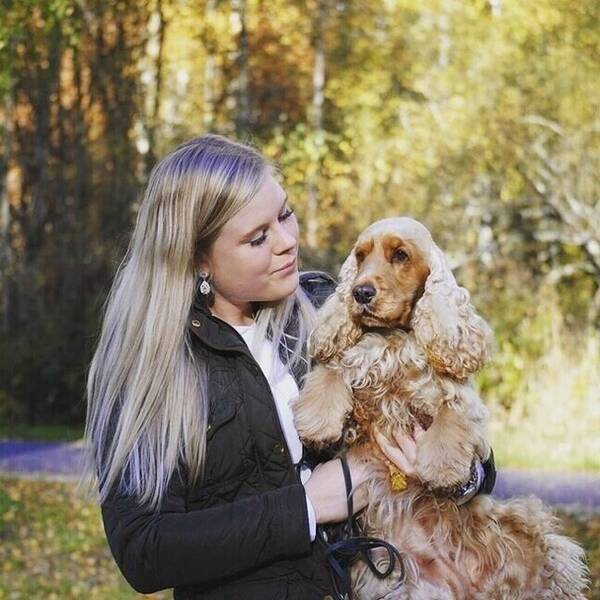 Hund - Cocker spanieln Lina