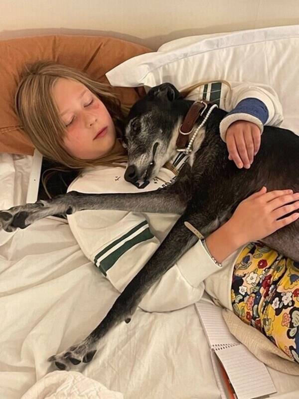 Hund - Vinthunden Roberta 