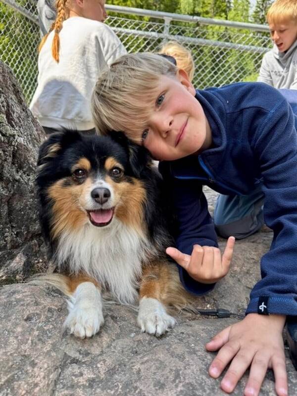 Hund - Werner