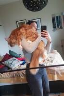 Maine Coon Rocky