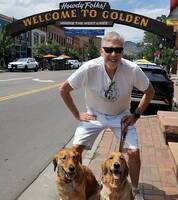 Två Golden Retrievers
