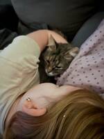 Katt 3/3