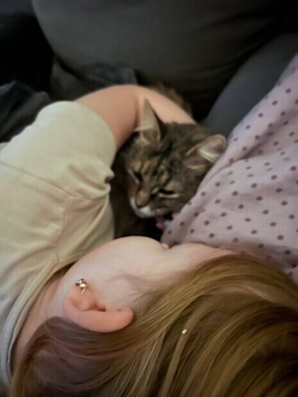 Katt - Katt 3/3