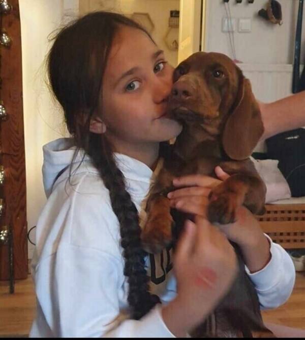 Hund - Min tax Otis