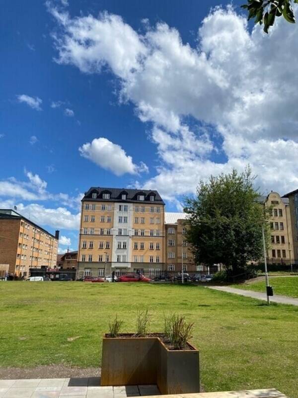 Lägenhet - Utsikt från min gård