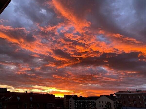 Lägenhet - Utsikt från min gård