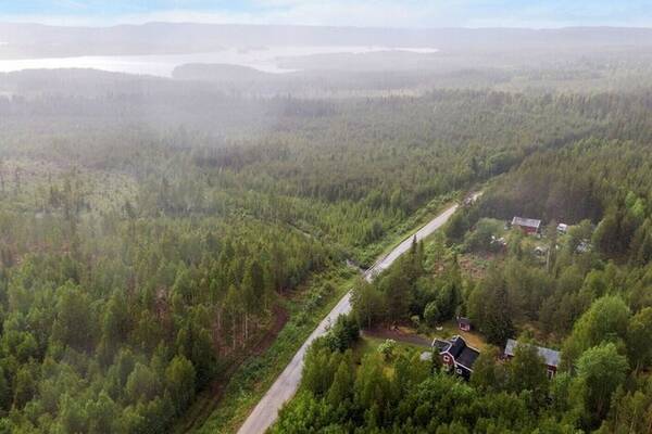 Hus - Hus i skogen