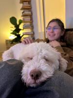 Lagotto