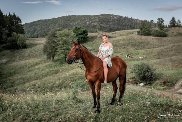 Annet - Hest 