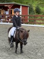 Hest