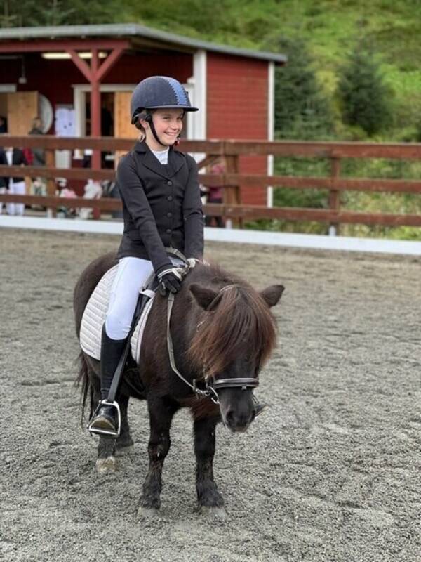 Annet - Hest 
