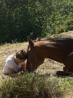Hest