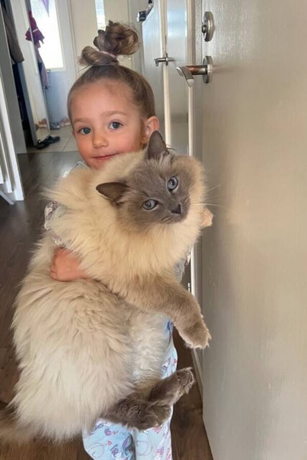 Katt