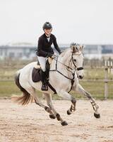 Eowyn hopphäst