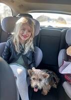 Hunden Molly