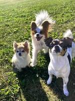 Sven, Tiffany & Mimmi