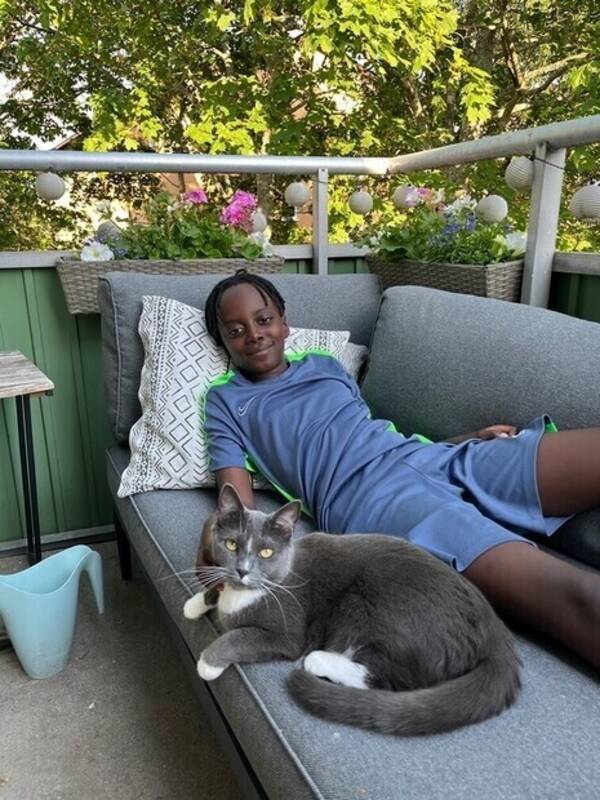Katt - Katten Lexy