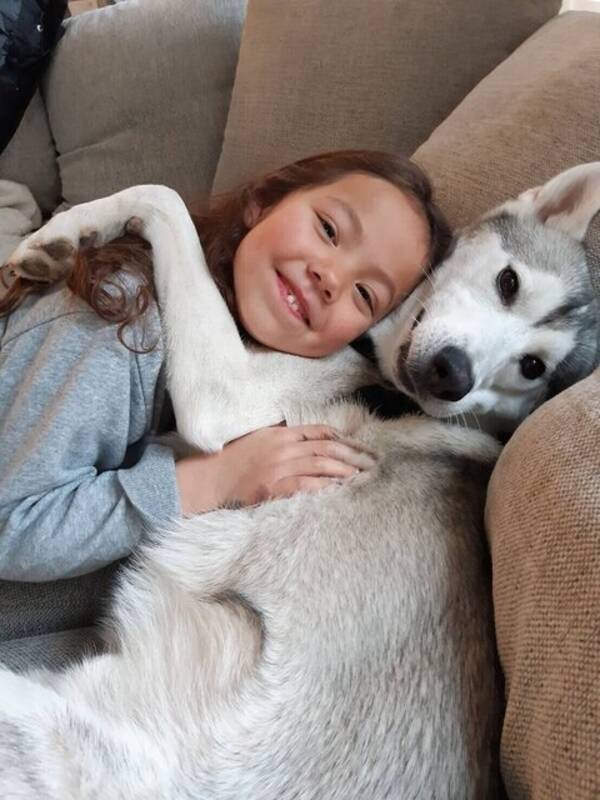 Hund - Huskyn Everest 