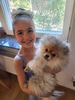 Pomeranian Ke
