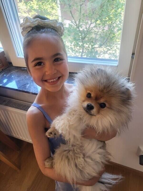 Hund - Pomeranian Ke 