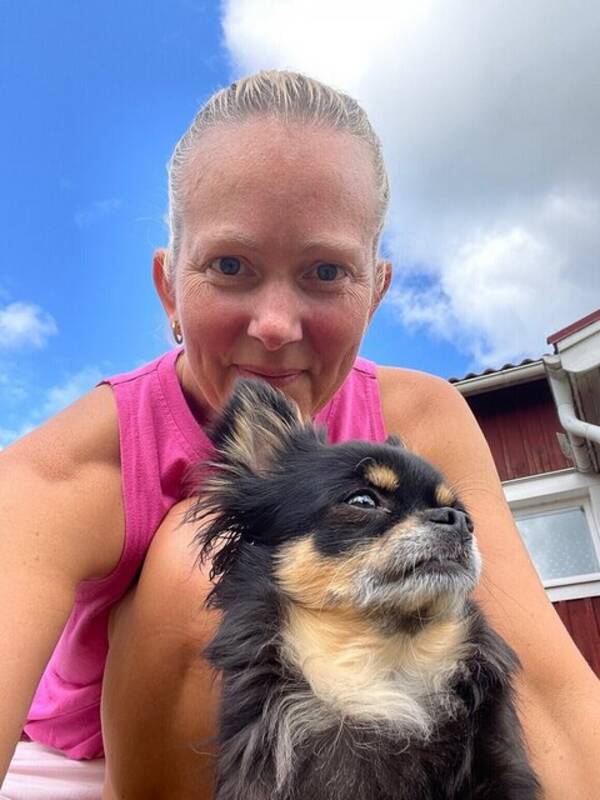 Hund - Chihuahuan Teo