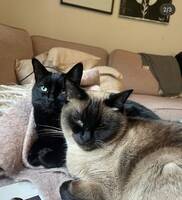 Stella & Billie