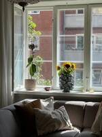 Leilighet på Adamstuen høyt i taket