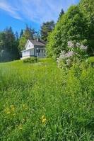 Detta  är ett förfallet sommarhus . Avlo