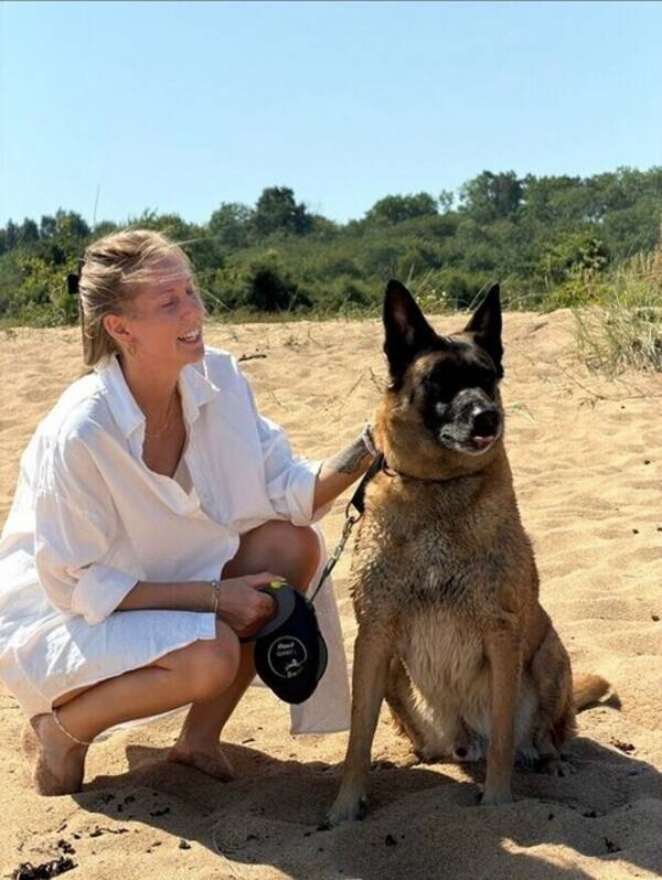 Hund - Tilo - Malinois