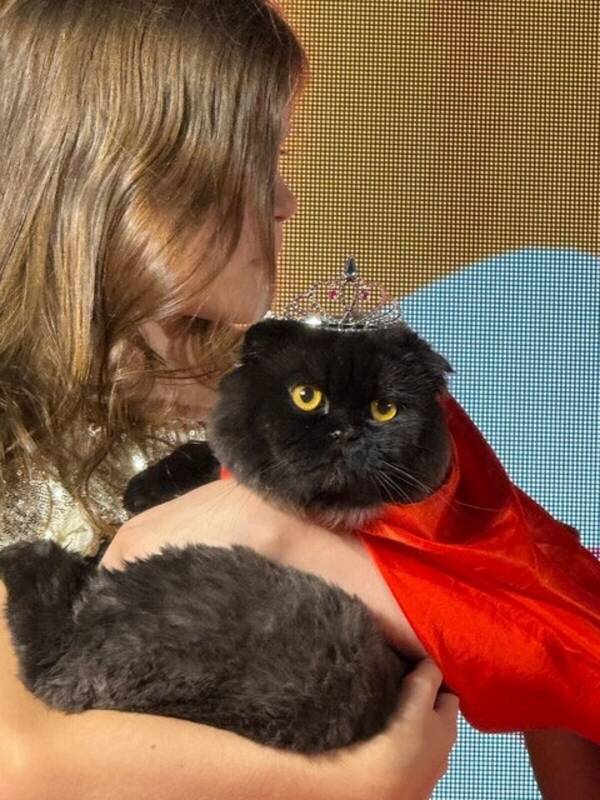 Katt - Cat “Money”.